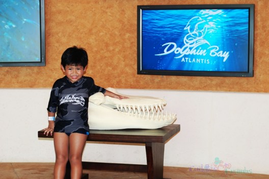 Dolphin Bay, Atlantis the Palm