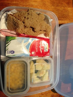 Day 2 Lunchbox