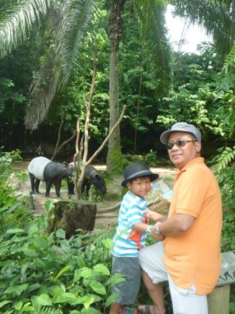 Lolo Dino and LittleMan V in Singapore