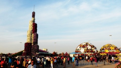 Dubai Miracle Garden 3661