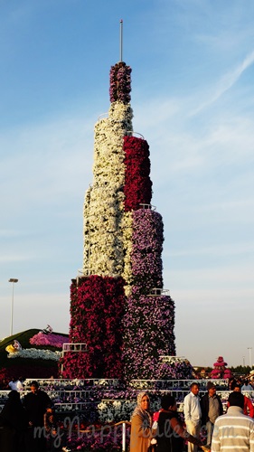 Dubai Miracle Garden BurjKhalifa3662