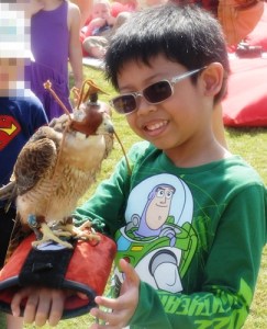 LittleMan V and Falcon at Al Tamimi Stables