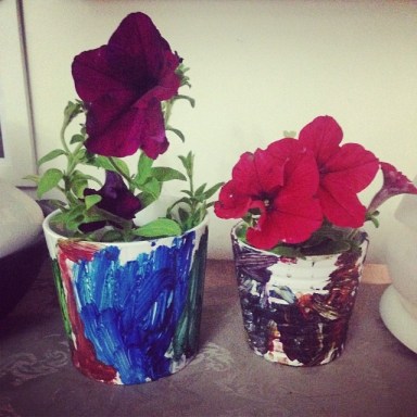 Potted Plants Al Tamimi Stables