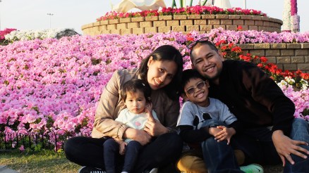 MyNappytales Miracle Garden