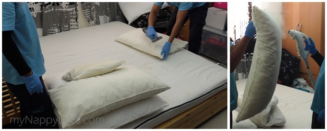 Healthy Home Pillow Treatment