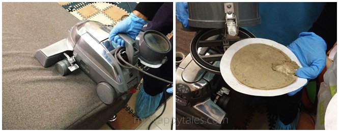 Healthy Home Sofa Treatment