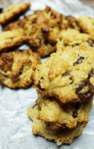 Coconut Almond ChocoChip