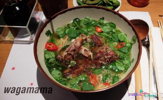 GrilledDuckRamenWagamama