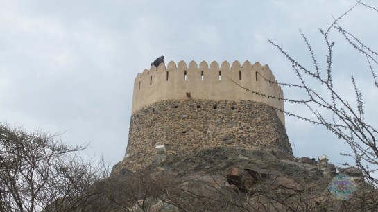 Al Badiya Mosque Big Fort.a 