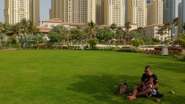 Ritz-Carlton Lush Green Property