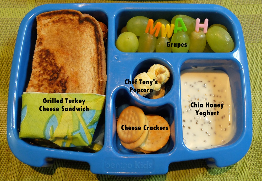 grilled turkey cheese sandwich