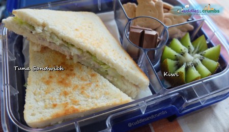 Tuna Sandwich Bento Lunch Box