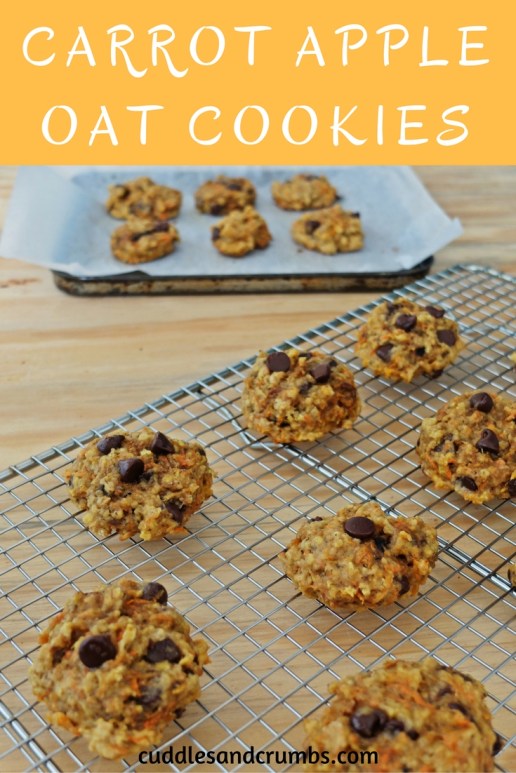 carrotappleoatmealcookies