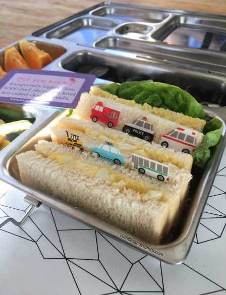 egg sandwich lunch box